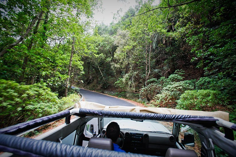 Private Jeep Safari — La Gomera 4