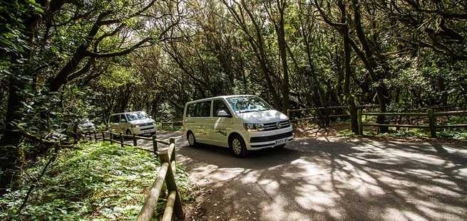 Minivans during the private excursion in La Gomera with the VIP Tour