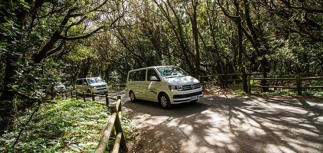 Vans beim Privatausflug auf La Gomera mit der VIP Tour