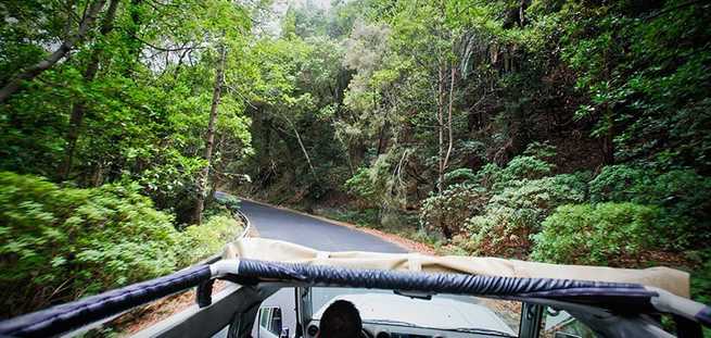 Route door het bos van La Gomera op een Jeepsafari