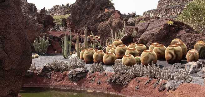 Escursione al Giardino dei cactus nell'Itinerario Nord a Lanzarote
